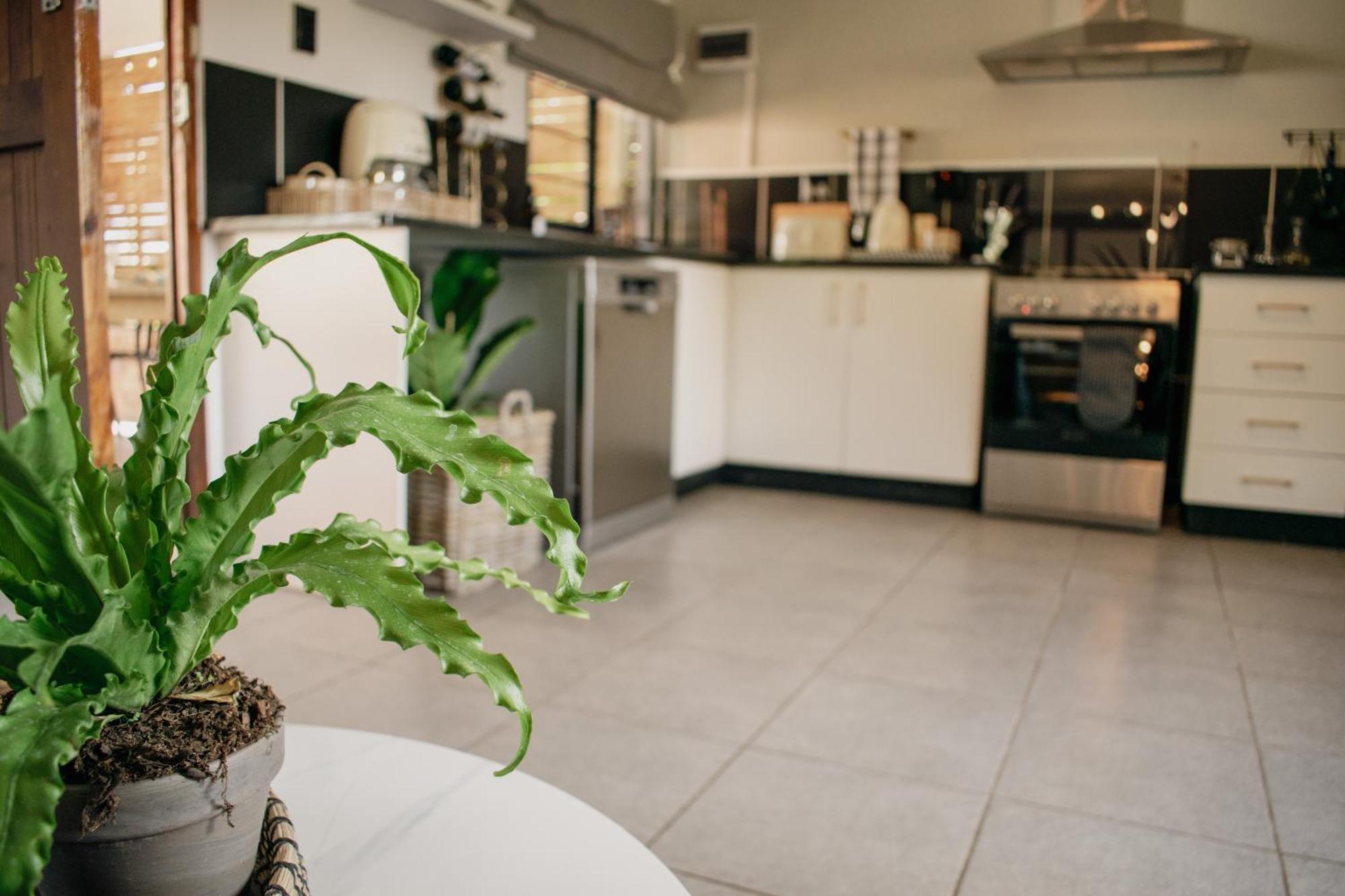 No 1 Dicks Street Apartment Howick Zewnętrze zdjęcie